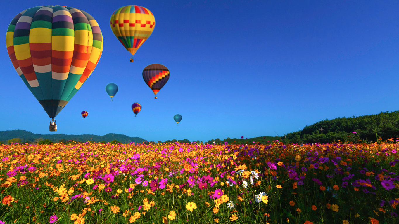 Hot air balloons over flower field represent using a trial balloon strategy for solution selling.