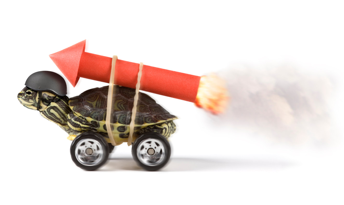 A turtle with a rocket on its back represents the need to speed up your sales pipeline velocity.